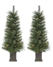Sterling Tree Company 4ft Potted Hard Mixed Needle Cashmere Tree With 70 Clear Lights (Set Of 2)