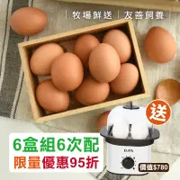 在飛比找台灣好農優惠-6次配★再送多功能蒸蛋器★好農葉酸蛋6盒組(10顆/盒) -