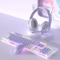在飛比找蝦皮購物優惠-夢幻紫色機械鍵盤 滑鼠套裝 有線青軸茶軸104鍵電腦外接電競