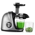 Slow Masticating Juicer with Soft/Hard Modes Easy to Clean Quiet Motor & Gray