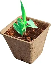 Peat Pots for Seedlings,Plant Germination Container | Plant Propagator Station Tray, Germination Containers for Vegetable