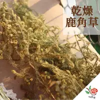 在飛比找PChome24h購物優惠-【極度花燥】乾燥鹿角草