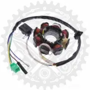 Stator Gy6 125 Fits Jmstar Flagship S6 125