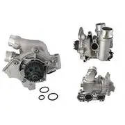 INA Water Pump - 538096710