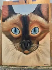 Original oil painting 11 x 14 inches adorable Siamese kitty cat