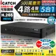 【CHICHIAU】H.265 4路4聲同軸音頻 500萬 AHD TVI CVI 1080P台製iCATCH數位高清遠端監控錄影主機