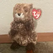 Ty Beanie Baby Babies Punxsutawn-e Phil Groundhog 2002 With Tag ￼￼