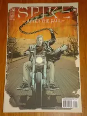 BUFFY THE VAMPIRE SLAYER SPIKE AFTER THE FALL #1 RI A COVER 2008 IDW