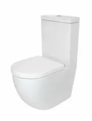 Raymore Winton Back To Wall Toilet Suite Standard Seat