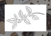 Coffee Branch Reusable Stencil (Many Sizes)