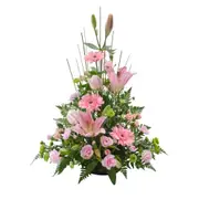 Interflora | Pink Sympathy