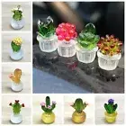 Resin Crafts Cactus Bonsai Decor Simulated Cactus Home Accessories