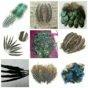 Natural Pheasant Rooster Feather Trims Fringe Ribbon DIY Craft