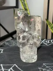 Himalayan w/Chlorite Skull