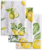 Maison d' Hermine Dish Towels 100% Cotton Kitchen Towels Absorbent Dishcloth for Home, Kitchen, Dining, Cocktail Parties & Camping, Limoncello - Spring/Summer (Set of 3)