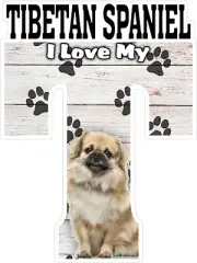 I Love My Tibetan Spaniel Fridge Magnet