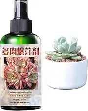Succulent Fertilizer Indoor Potted Plants - Succulent Food Cactus Food,Liquid Fertilizer Indoor Plant Food, Succulent Spray Root Stimulator, Cactus Fertilizer, 150ml
