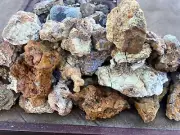 1 petrified wood 40lb rough specimens opalized agatized bulk decor
