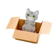 10Pcs 3D Kawaii Cat Box Stickers Cute Cartoon Stationery Sticky Notes(Grey Cat)