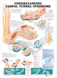 在飛比找三民網路書店優惠-Understanding Carpal Tunnel Sy