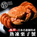 日本熟凍栗子母蟹【海陸管家】滿額免運