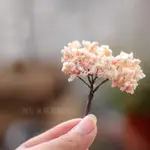苔蘚微景觀飾品 DIY材料 裝飾造景櫻花樹 迷你 柳樹 香樹 綠竹