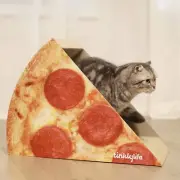 Cat Condo Scratcher Post Cardboard Pizza Shape Cat Scratching House Bed