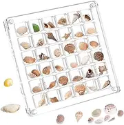 Acrylic Seashell Display Box, Wanfoou 36 Grids Seashell Display Box, Transparent Seashell Storage Box, Clear Magnetic Seashell Organisers Case, Portable Craft Organizers Container for Bead