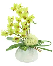 Creative Displays Green Orchid with White Hydrangea Floral Arrangement