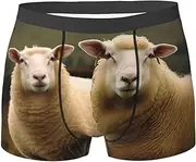 [QMNEHJ] Two White Sheep Men's Boxer Briefs Breathable Stretch Underwear Moisture-Wicking Trunks for Men