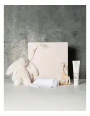 [Gourmet Basket] New Baby Bundle Gift Hamper