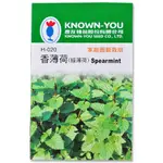 【全館590免運】香薄荷種子（綠薄荷）~SPEARMINT 約300粒