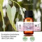 【正品現貨】澳洲尤加利精油EUCALYPTUS AUSTRALIANA   100ML