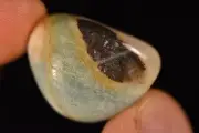 *AMAZONITE & PYRITE* Tumbled Stone 2.6cm 13.9g Healing Soothing Negative Energy