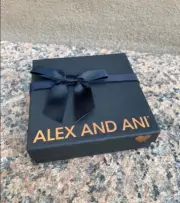 Alex and Ani Bracelet (Hello Winter)