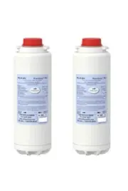 Elkay 51300C WaterSentry Plus Replacement Filter (Bottle Fillers) Set Of 2
