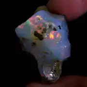 36.70 Ct October Birthstone AAA Ethiopian Opal Rough Welo/Multi Fire Amazing Raw