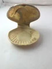 Hard Plastic Clam Scallop Shell Trinket Box Jewelry Box Hinged Lid Vtg Seashell