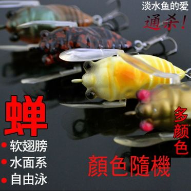 Cicada Lures Comparison: MegaBass, wLure, JetTackle Cicada