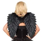 Black Feather Wings (White also available)
