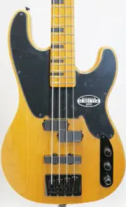 SCHECTER: MODEL-T SESSION AD-MT-SS Electric Bass