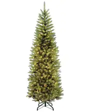 National Tree Company 7.5Ft Powerconnect Kingswood Fir Tree With Lights