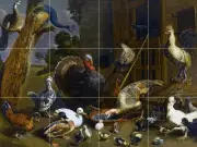 A VARIETY OF BIRDS Tile Mural Kitchen Bathroom Wall Backsplash Art 24x18