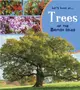 Trees of the British Isles