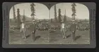 Former Governor Spry and sec work with large herd of Alaskan reind- Old Photo