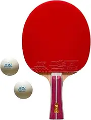Double Fish 2A+c Table Tennis Bat