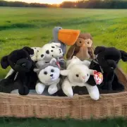 Ty Beanie Babies Lot Of 7 Scoop96-2Luke98-Fleece96-Nanook96-Sparky96-Hoot95