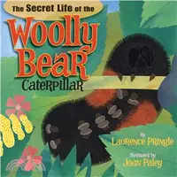 在飛比找三民網路書店優惠-The Secret Life of the Woolly 