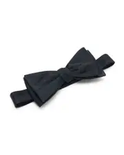 Silk Self Tie Bow Tie