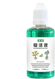 Plant Root Stimulator - Low Cost Plant Root Stimulator, Plant Root Stimulator | Root Stimulator, Foliage, Plant Growth, for Fiddle Solution Cuttings in Water or Soil